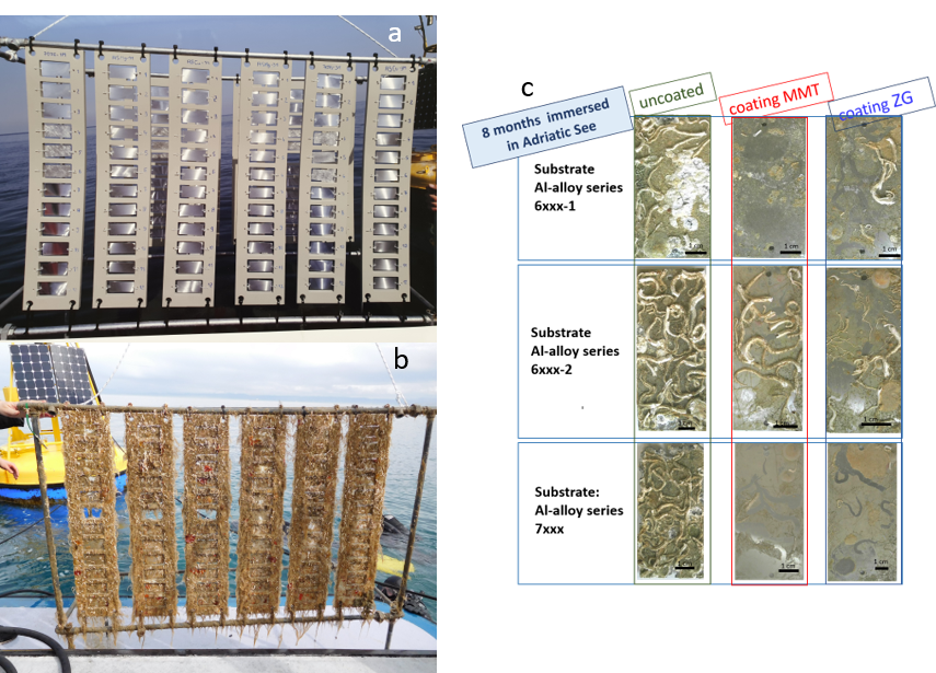 Panels with protective antifouling coatings