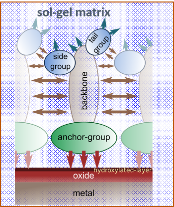 A schematic representation of the different parts comprising an inhibitor.