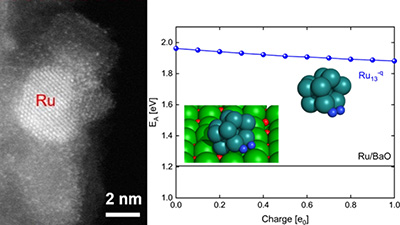 Arhiv novic Arhiv novic