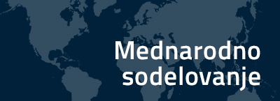 Mednarodno sodelovanje